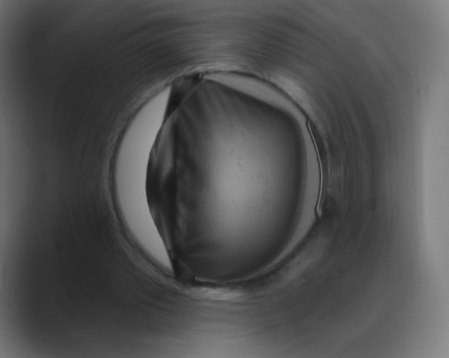 X0000088490389200706191428