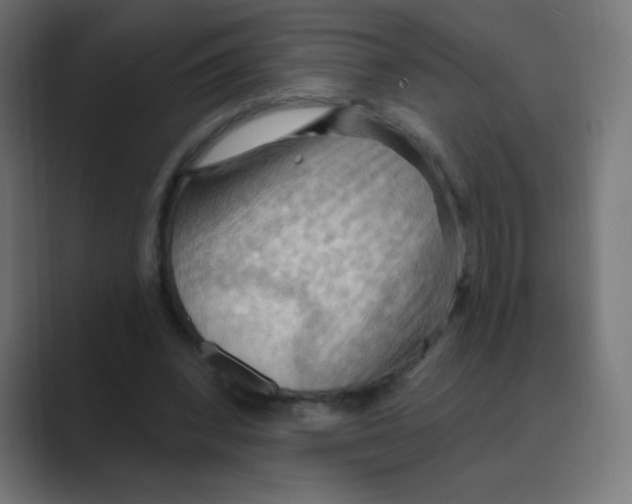 X0000088490392200706191428