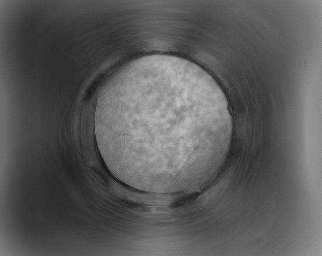 X0000088490395200706191428