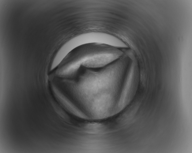 X0000088490397200706191428
