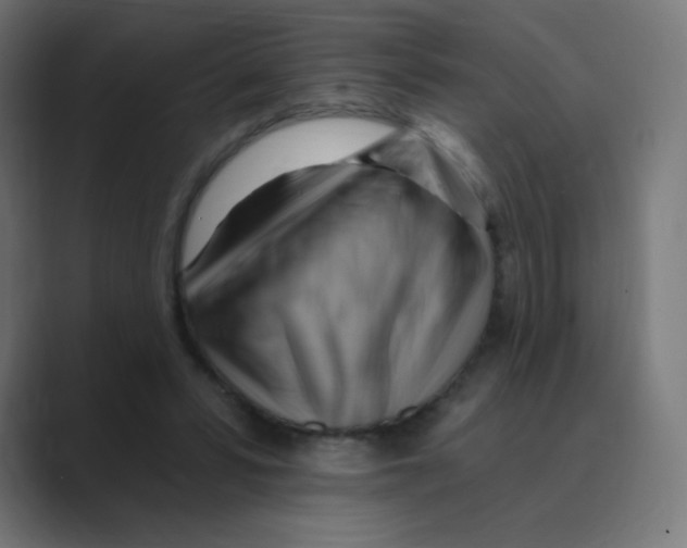 X0000088490399200706191428