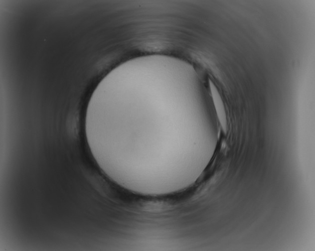 X0000088490400200706191428