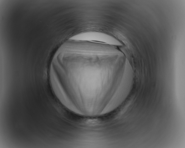 X0000088490401200706191428