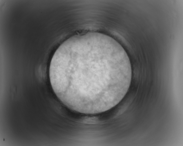 X0000088490403200706191428