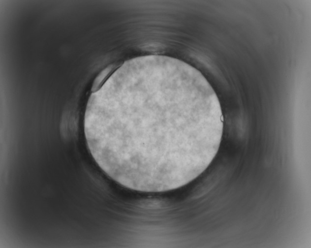 X0000088490404200706191428