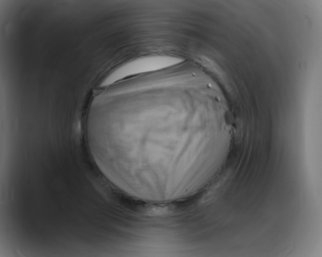 X0000088490405200706191428