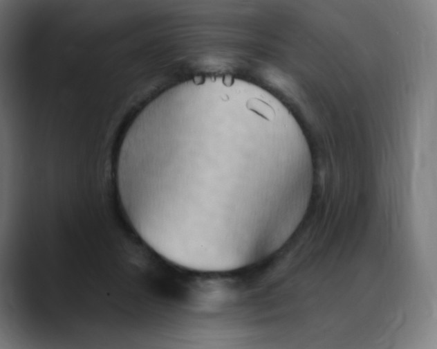X0000088490407200706191428