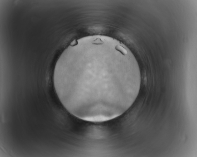 X0000088490408200706191428