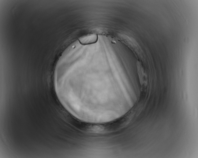 X0000088490409200706191428