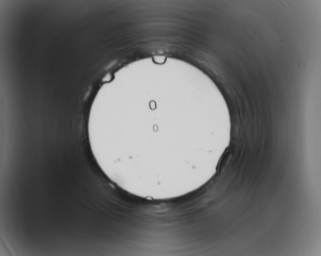 X0000088490411200706191428