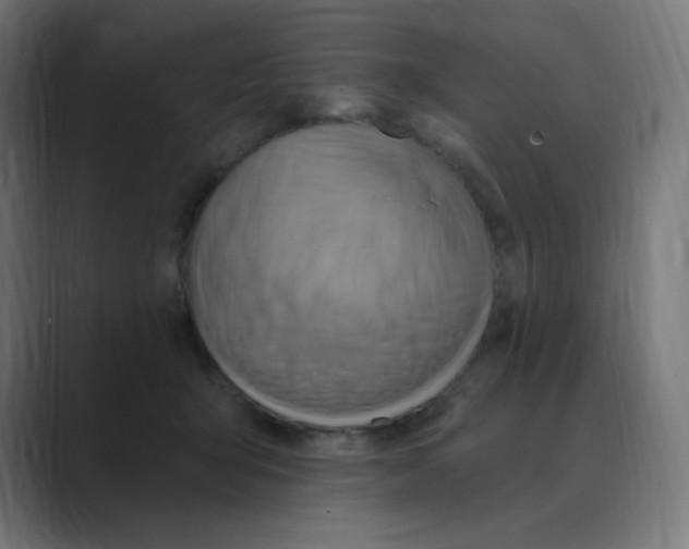 X0000088490415200706191428