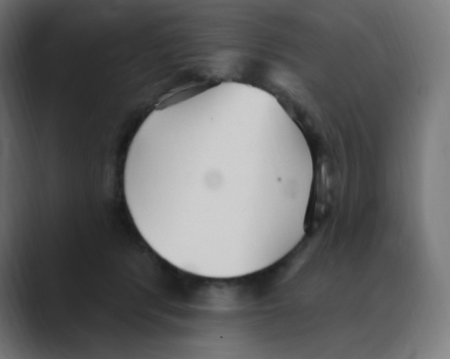 X0000088490416200706191428