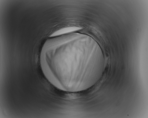 X0000088490417200706191428