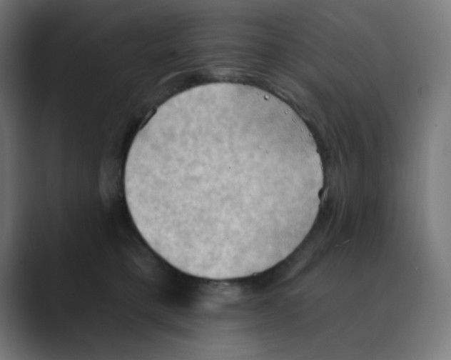 X0000088490421200706191428