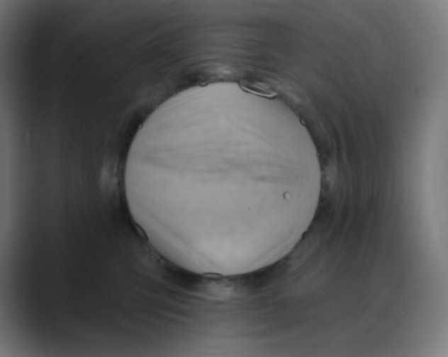 X0000088490423200706191428