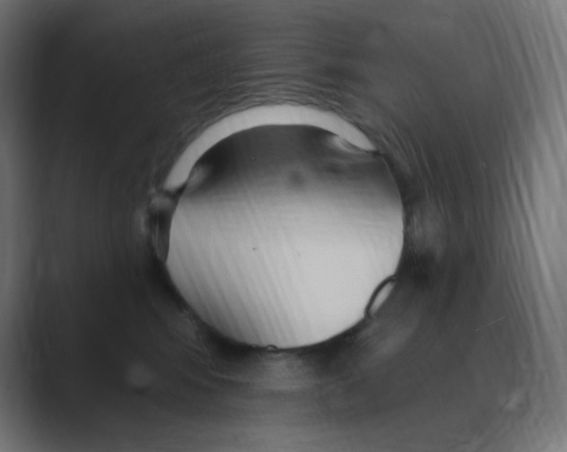 X0000088490424200706191428