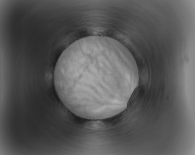 X0000088490427200706191428