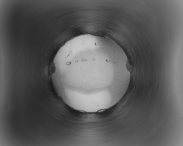 X0000088490428200706191428