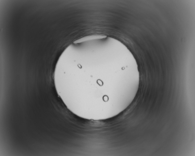 X0000088490429200706191428