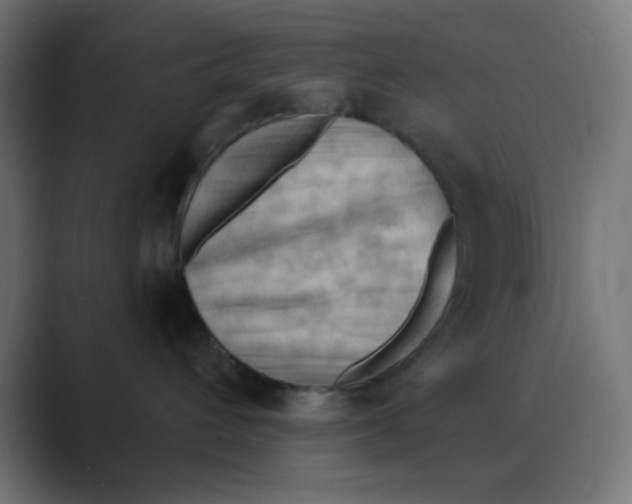 X0000088490432200706191428