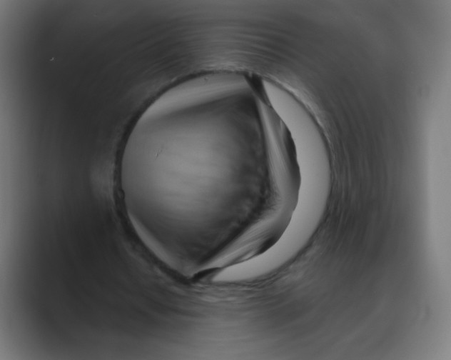 X0000088490434200706191427