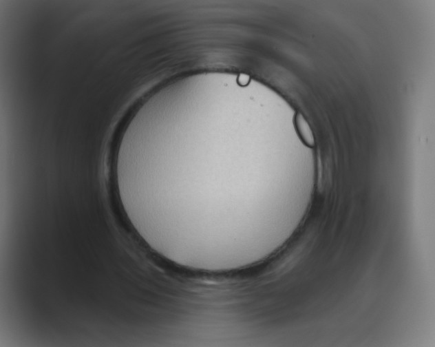 X0000088490435200706191427