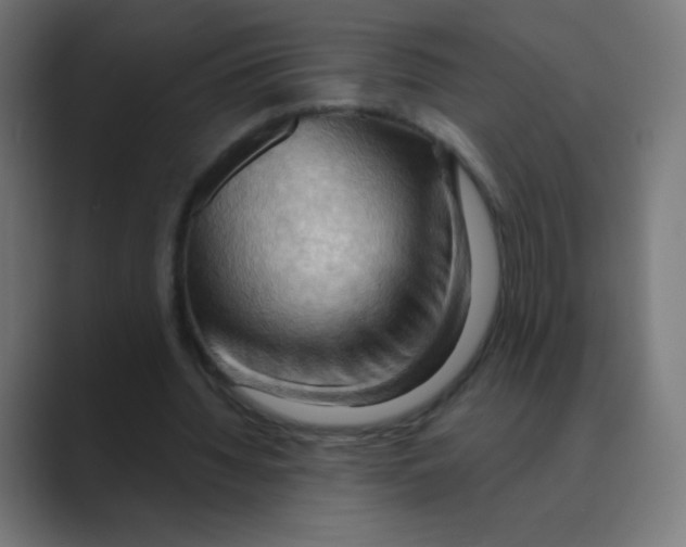 X0000088490436200706191427