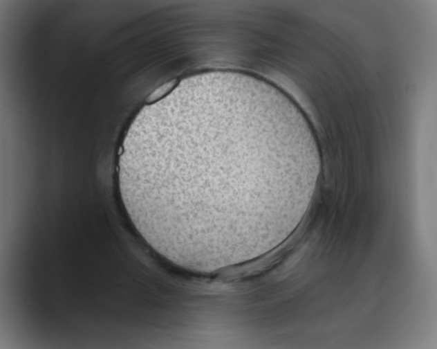 X0000088490437200706191427