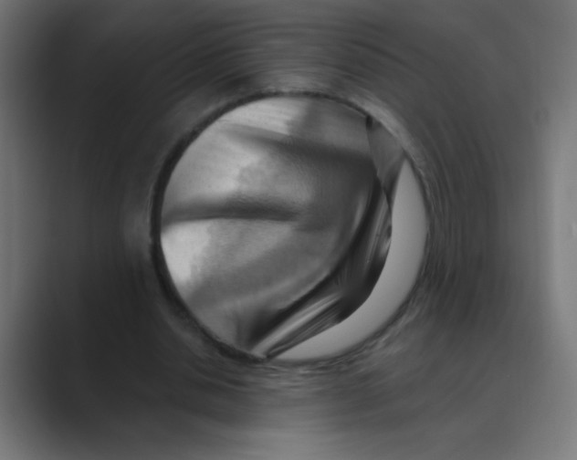 X0000088490438200706191427