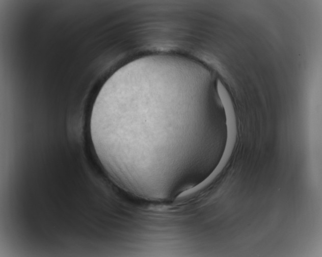 X0000088490440200706191427