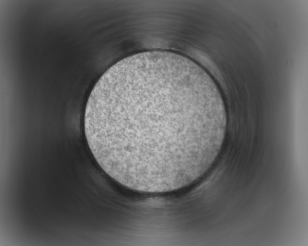 X0000088490441200706191427