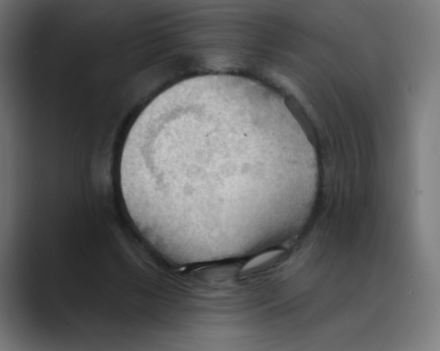 X0000088490443200706191427