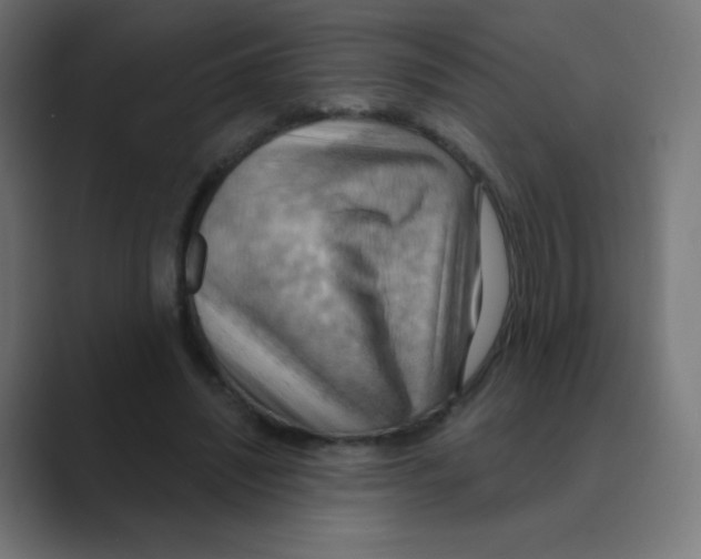 X0000088490444200706191427