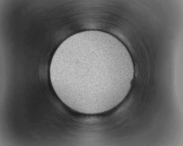 X0000088490445200706191427