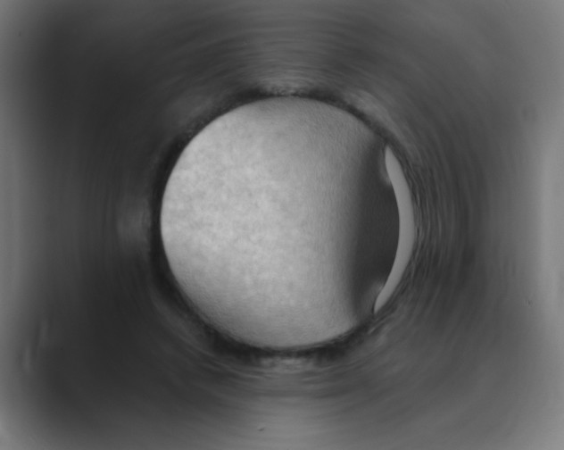 X0000088490448200706191427