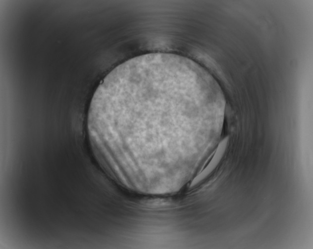 X0000088490449200706191427