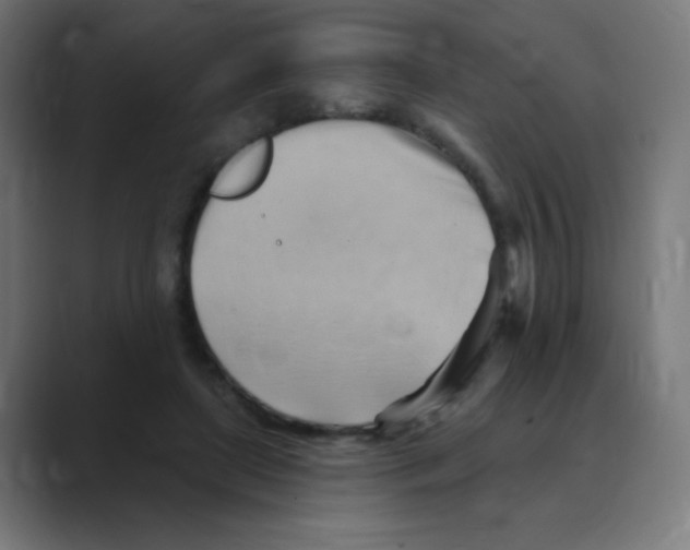 X0000088490451200706191427