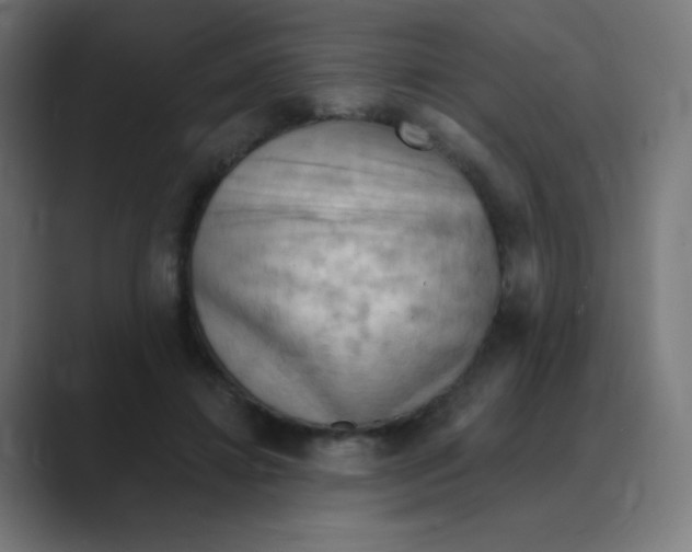 X0000088490452200706191427