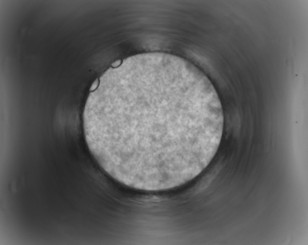 X0000088490453200706191427