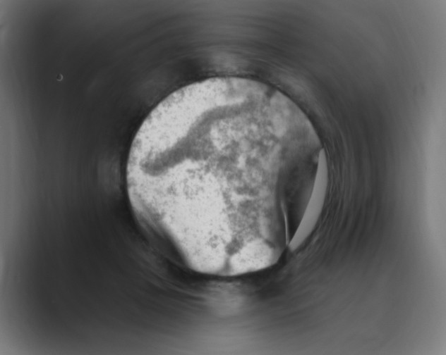 X0000088490457200706191427