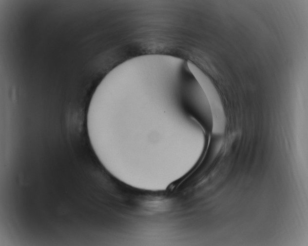 X0000088490458200706191427