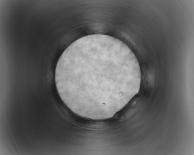 X0000088490459200706191427