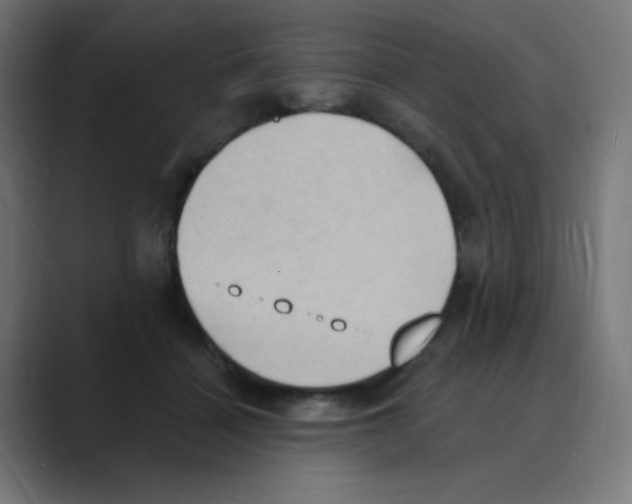 X0000088490460200706191427