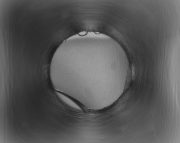 X0000088490462200706191427