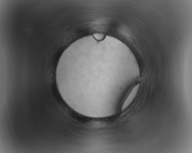 X0000088490464200706191427