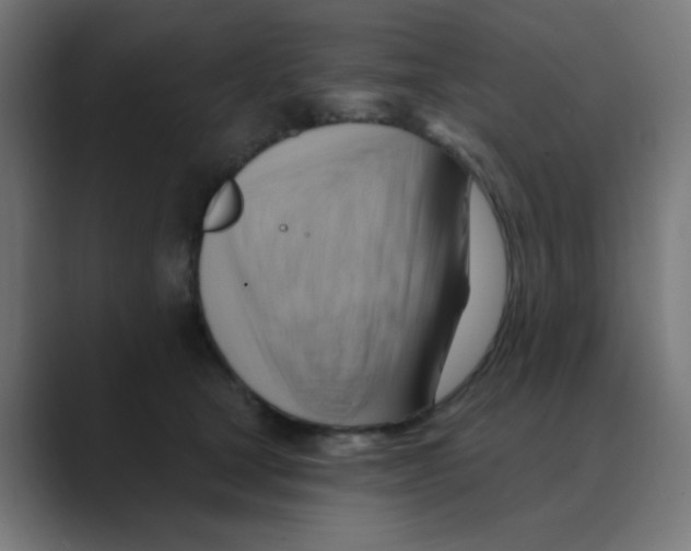 X0000088490465200706191427