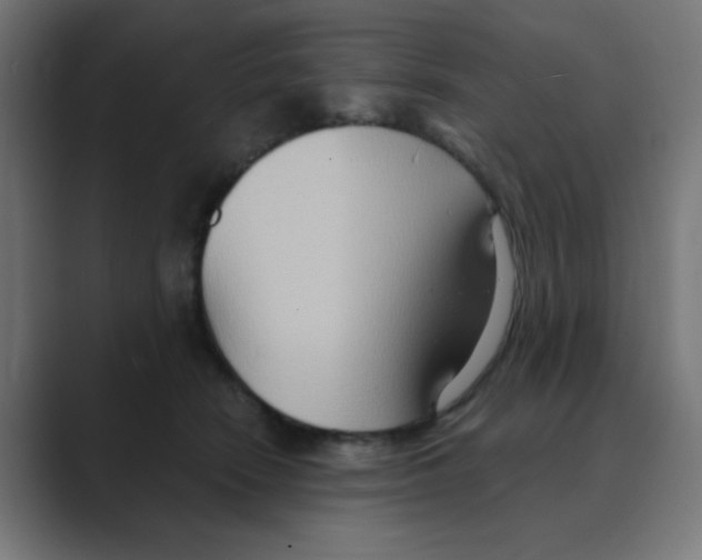 X0000088490466200706191427