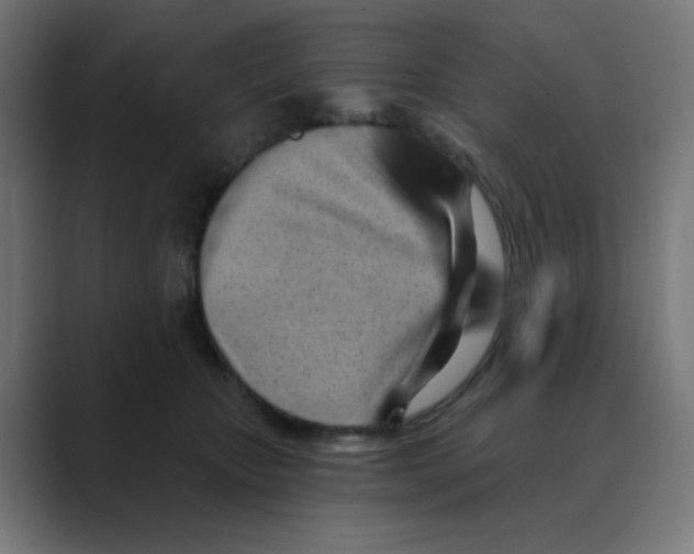 X0000088490467200706191427