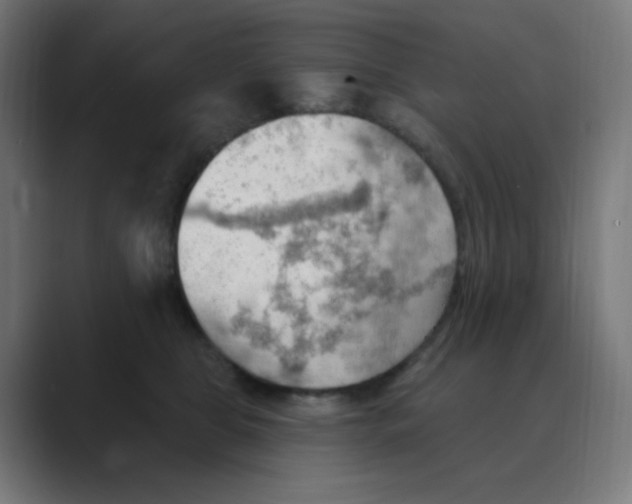 X0000088490469200706191427