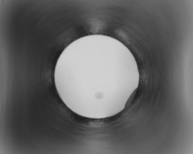 X0000088490470200706191428